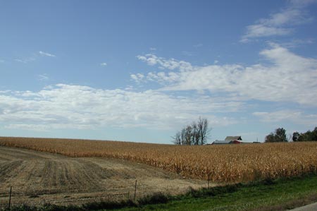 Va07-Corn_westernMN